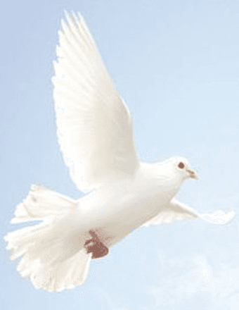 Camille Marie Orgen Obituary